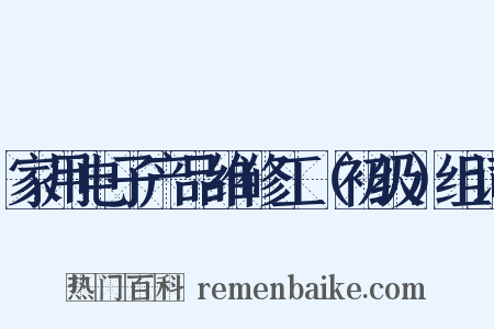 家用电子产品维修工（初级）组词是什么意思的图片